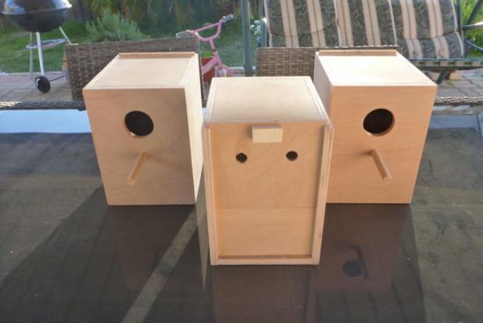 PLYWOOD BUDGIE NEST BOXES FOR OUTSIDE OF BREEDING CABINETS