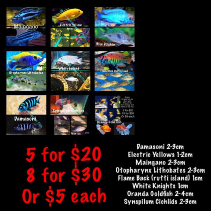 Choose any 8 for $30 or $5 each