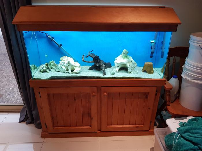 4ft fish tank complete excellent condition