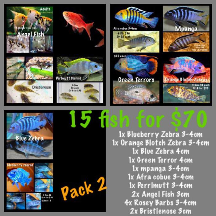 Mix Pack Specials 4 Packs to Choose From