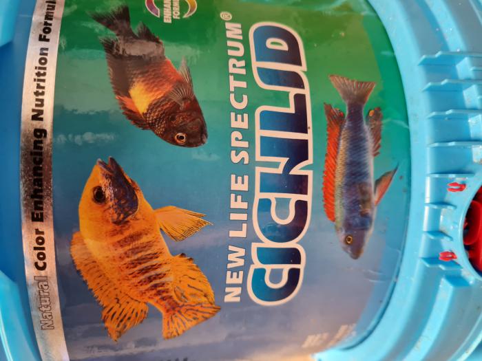 New life spectrum cichlid 2.2kg special $100! ALL SIZES!