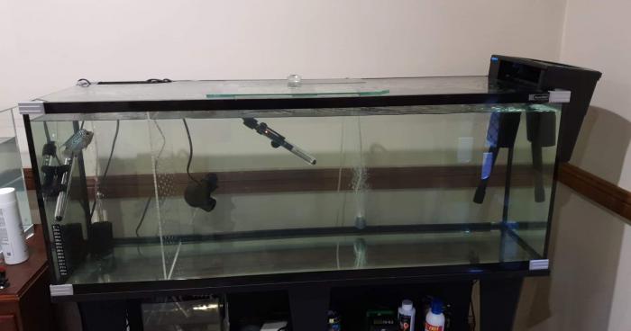 4ft Fish Tank AquaOne