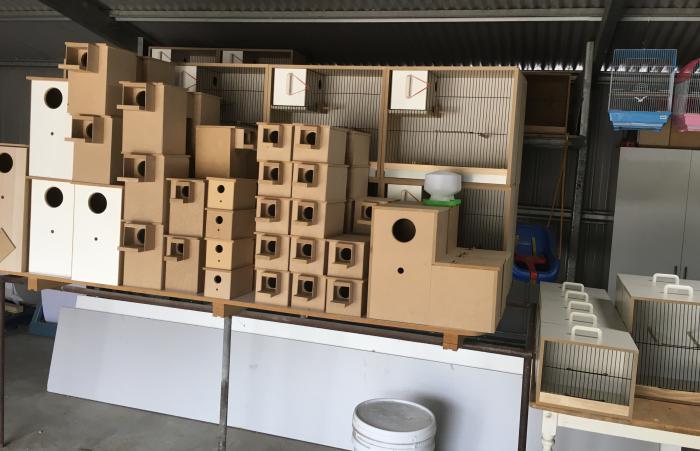 BREEDING CABINETS, LARGE RANGE BREEDING BOXES, CARRY CAGES e