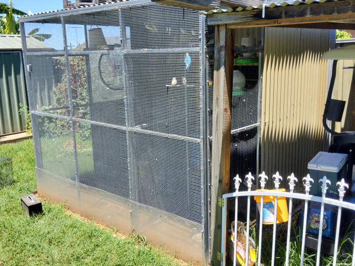 Large Aviaries for sale