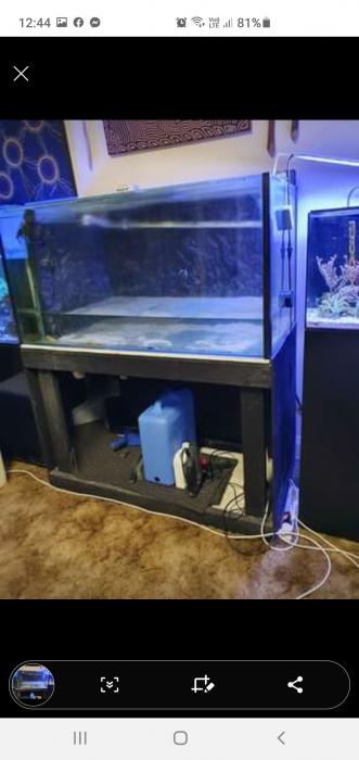 4x2x2 tank and stand.