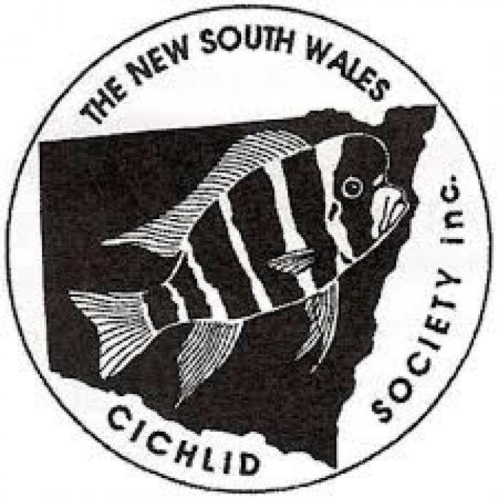 NSW Cichlid Society March 2021 AGM & AUCTION