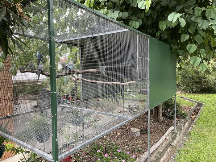 Large Suspended Aviary