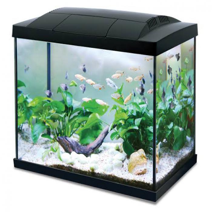 Hailea K Series Fish tanks available now at WTFish Aquarium!