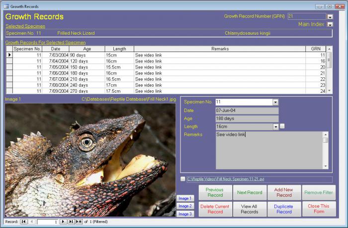 Reptile Collector Database Software