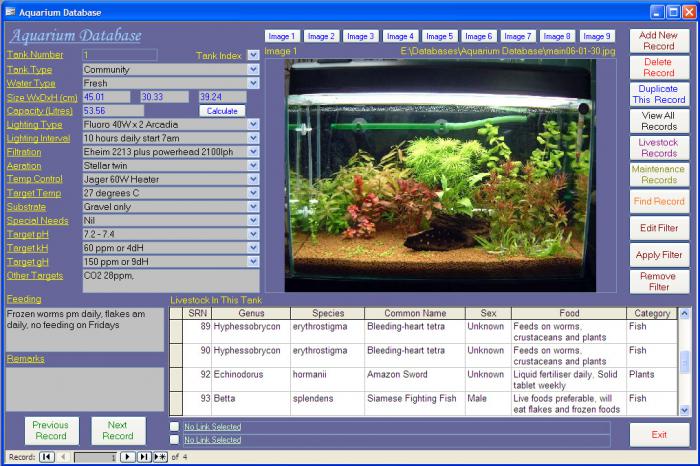Aquarium and Fish Image Database and Maintenance Software