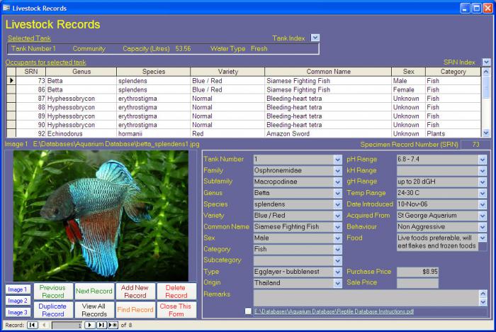 Aquarium and Fish Image Database and Maintenance Software