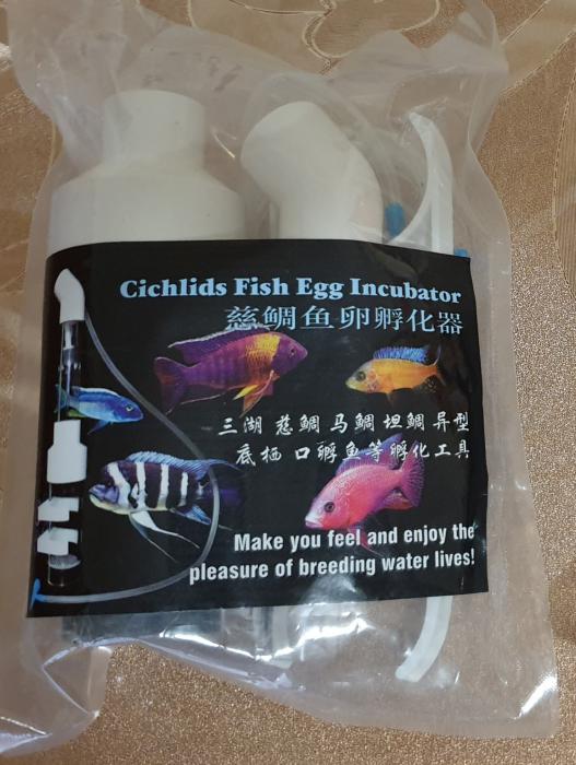 Fish Egg Tumbler $15.00