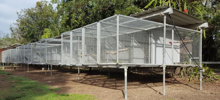 Parrots Breeding & Hand reared, Aviaries and equipment