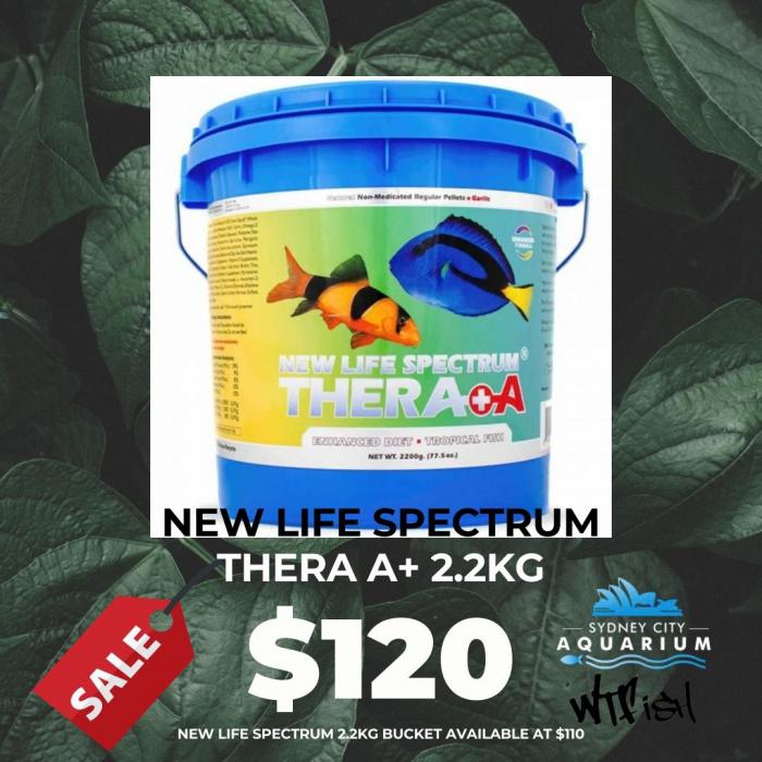 New Life Spectrum 2.2kg buckets on Special for $110