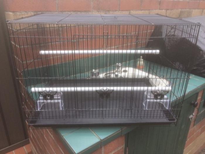 Bird Cages. As New Condition. $40 Each or 2 for $60. 