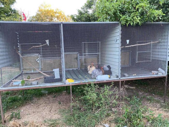 Aviaries For Sale