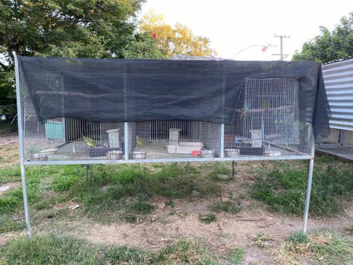 Aviaries For Sale