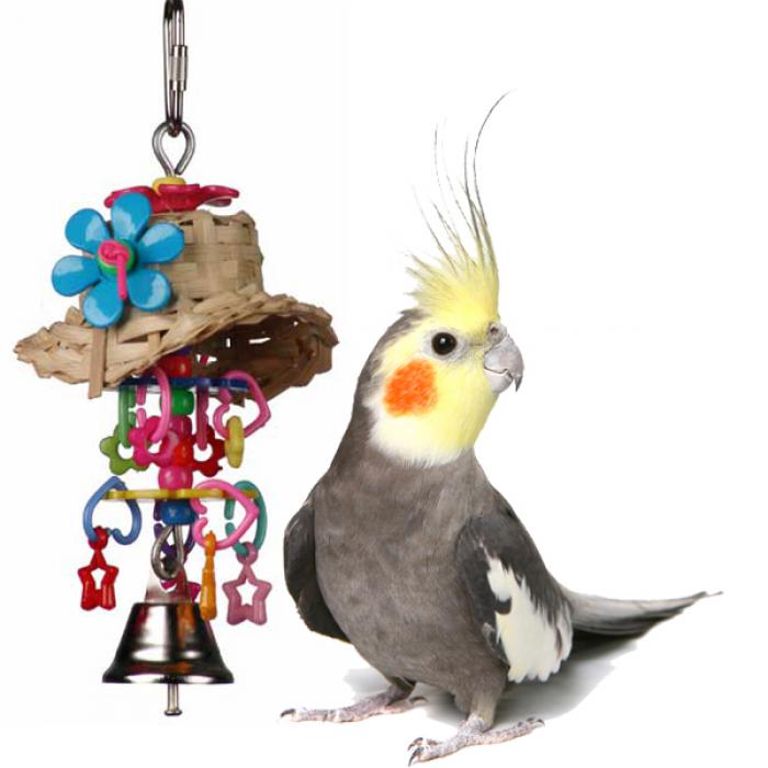 500+ Bird toys