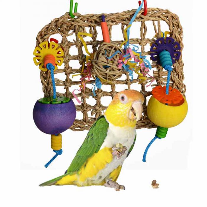 500+ Bird toys