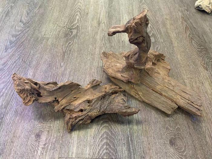 Ornamental Wood Available Now at Sydney City Aquarium!