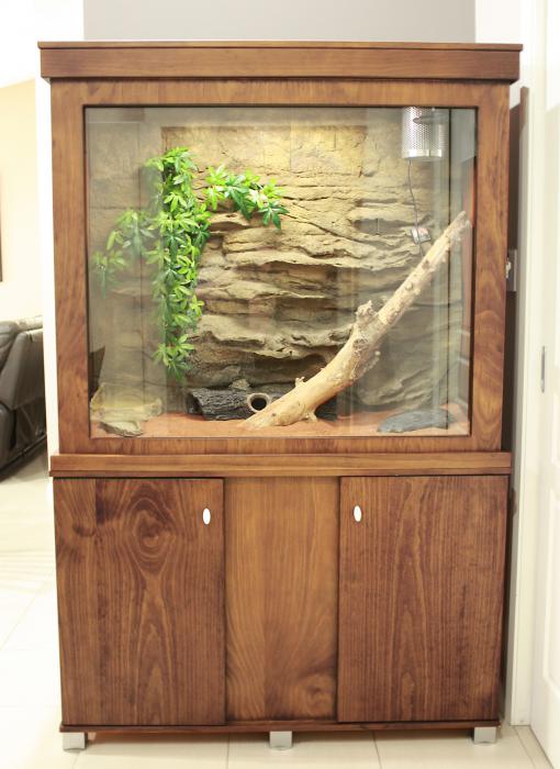 Large Reptile enclosure - complete package for sale
