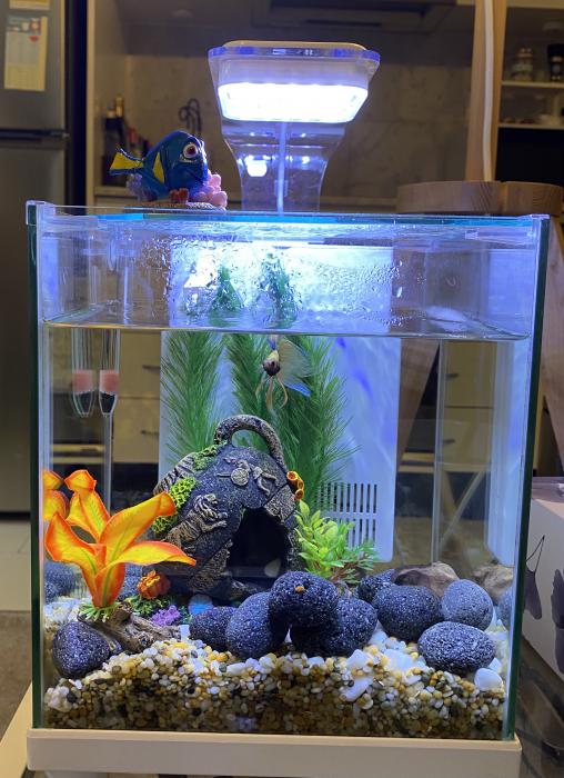 Aqua One Betta Fish Sanctuary Tank w/ Extras