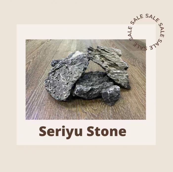 Seriyu Stone Available Now at Sydney City Aquarium!