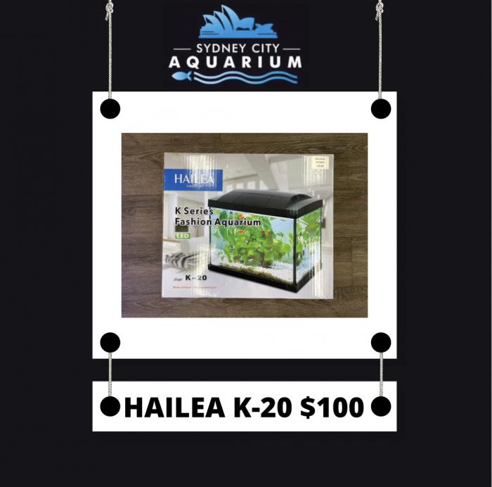 Hailea K20 Available now at Sydney City Aquarium