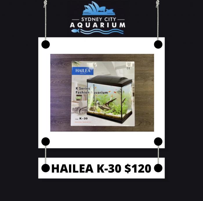 Hailea K30 Available now at Sydney City Aquarium 