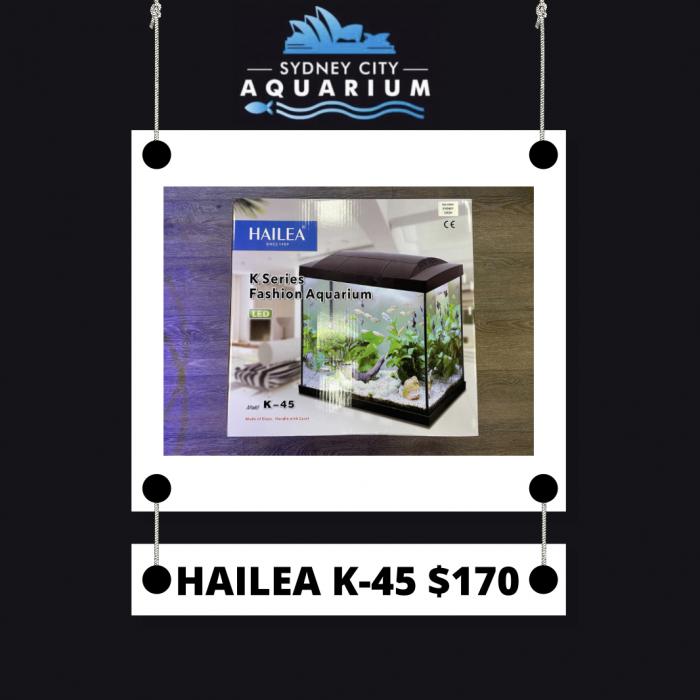 Hailea K45 Available now at Sydney City Aquarium 