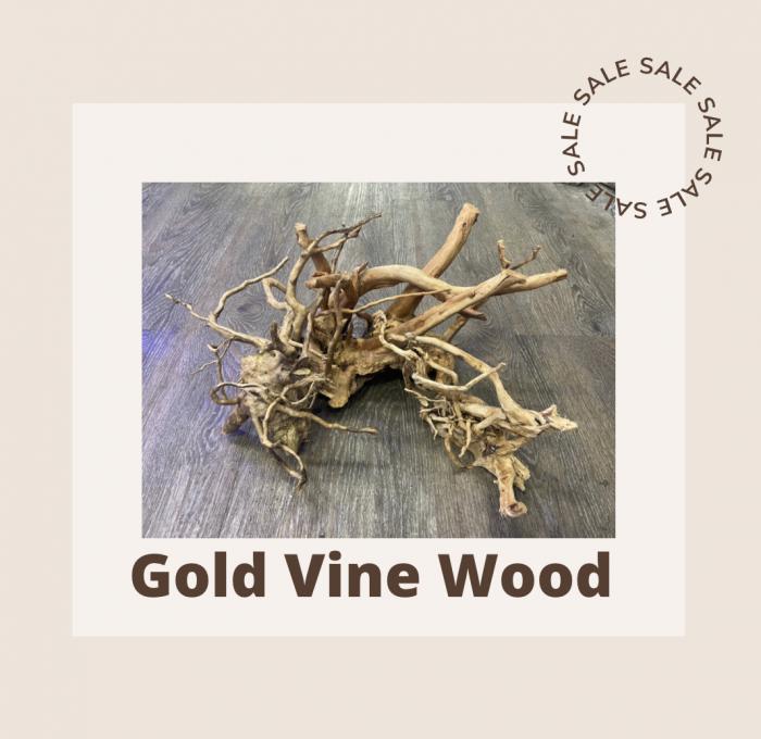 Gold Vine Wood Available now at Sydney City Aquarium!