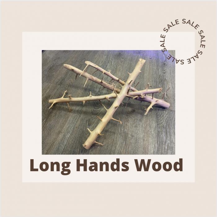 Long hands Wood available now at Sydney City Aquarium!
