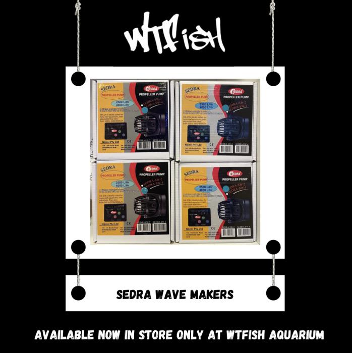 Sedra Wave Makers Available now at WTFish!