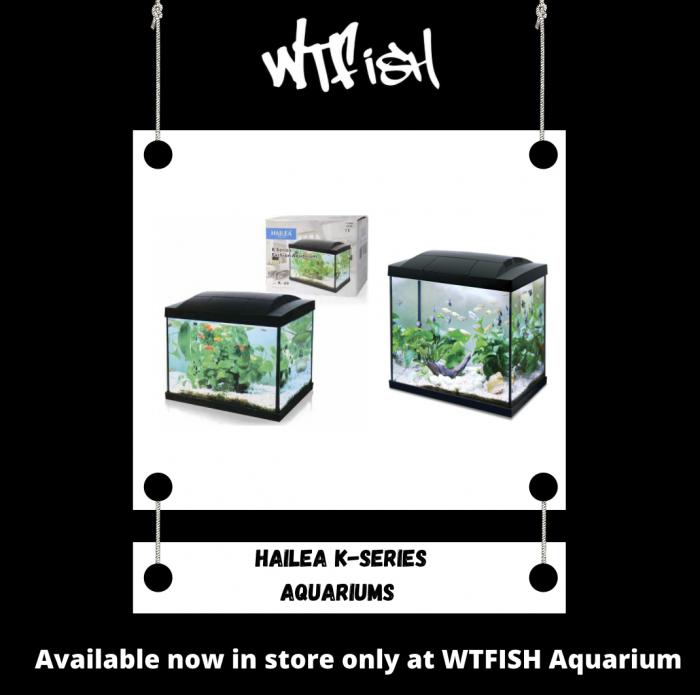 Hailea Aquarium Set ups Available Now at WTFish!
