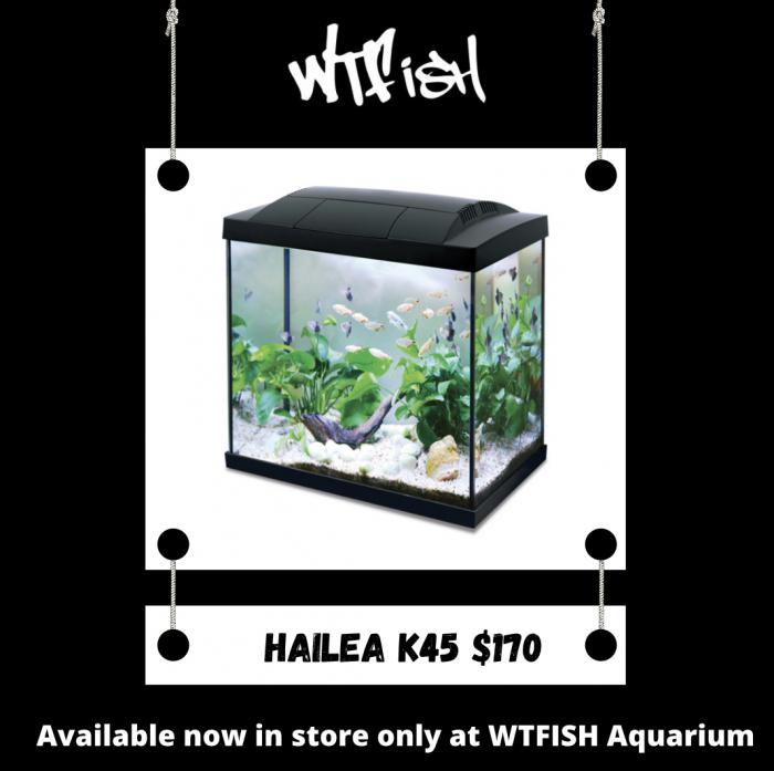 Hailea Aquarium Set ups Available Now at WTFish!