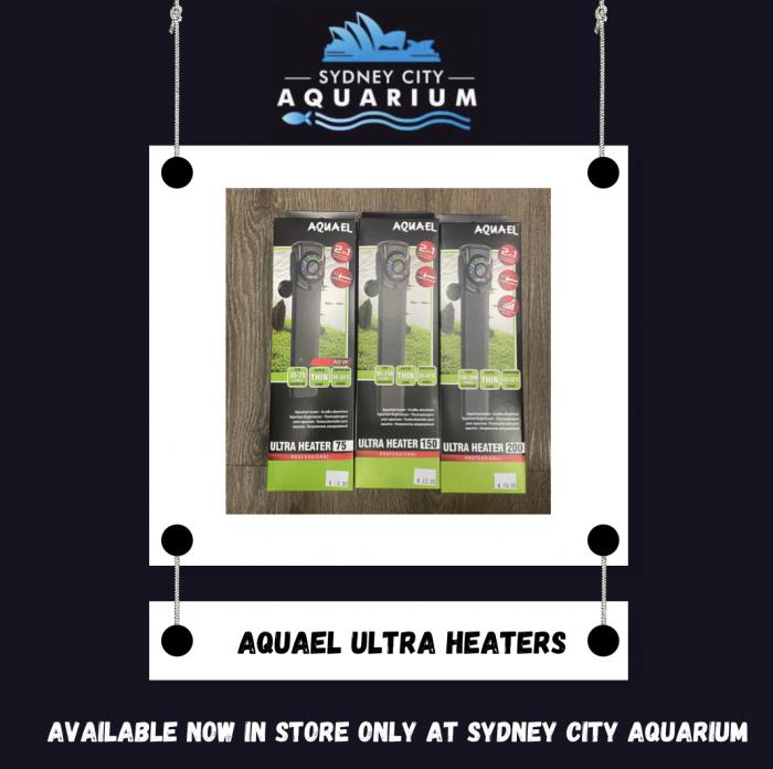 AquaEl Ultra Heaters Available Now at Sydney City Aquarium!
