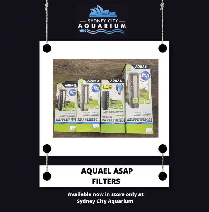 AquaEl ASAP Filters Available at Sydney city Aquarium!