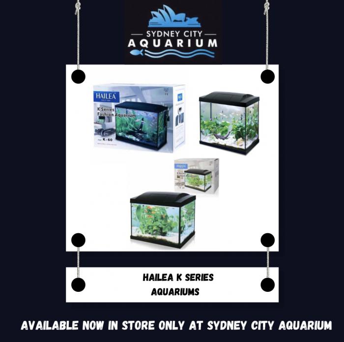 Hailea K Series Aquariums Now at Sydney City Aquarium!