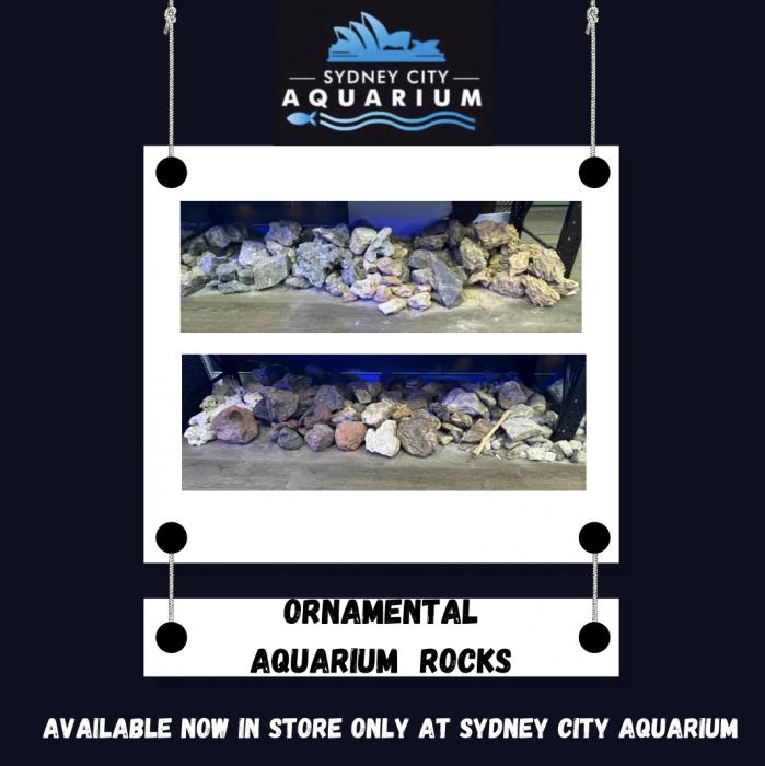 Ornamental Aquarium Rock Now at Sydney City Aquarium!