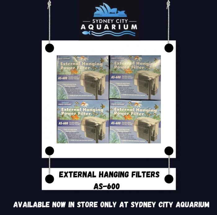 External Filter Available Available at Sydney City Aquarium!