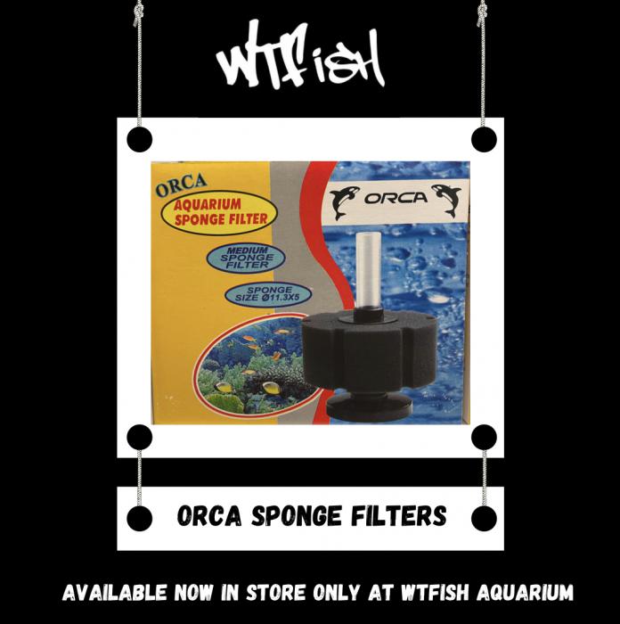 Orca Sponge Filters Available Now at WTFish!