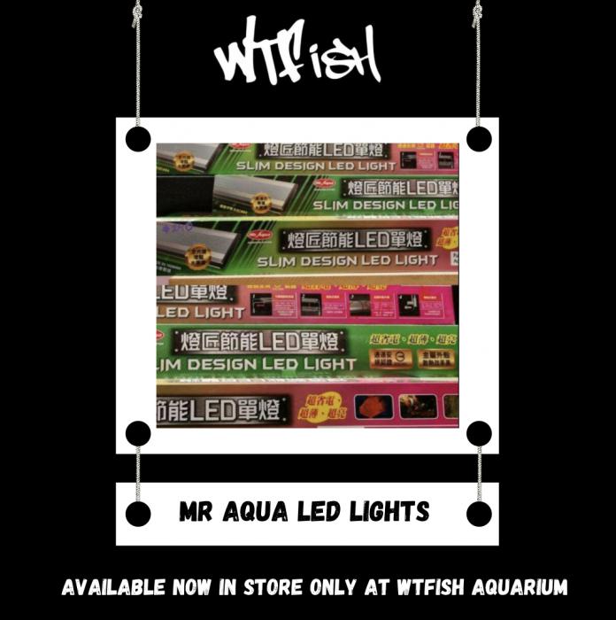 Mr Aqua LED Aquarium Lights Special At WTFish!