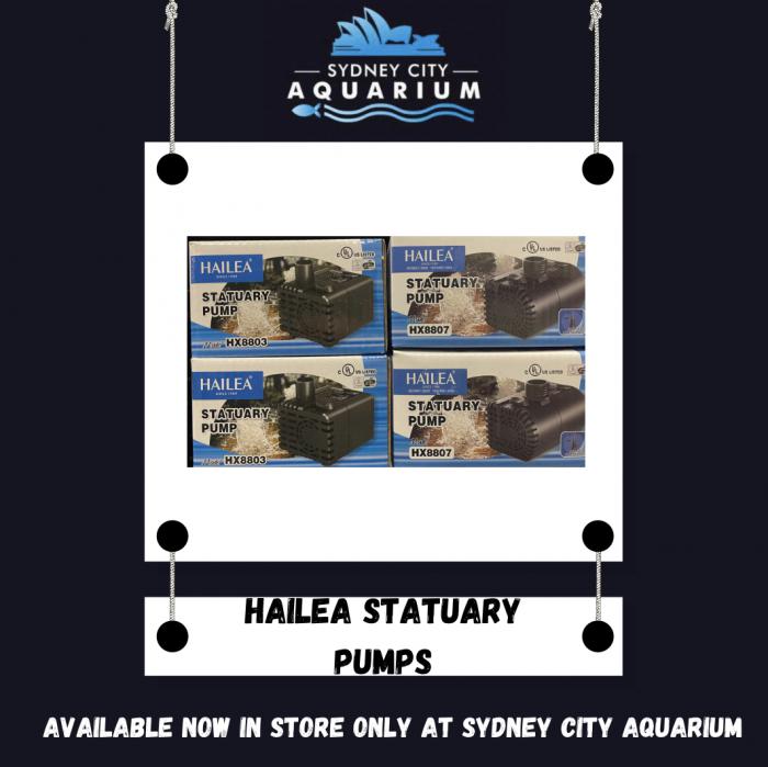 Hailea Statuary Pumps Available At Sydney City Aquarium!
