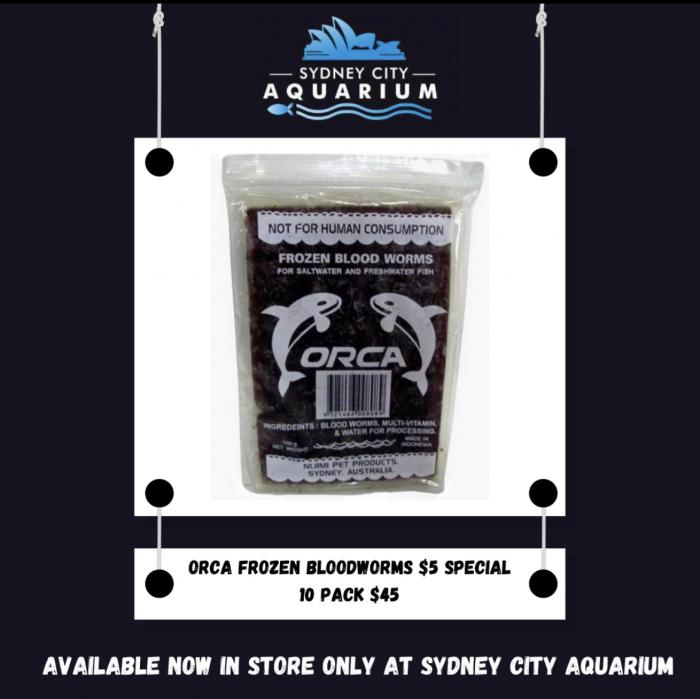 Dry Stock Special Now at Sydney City Aquarium!