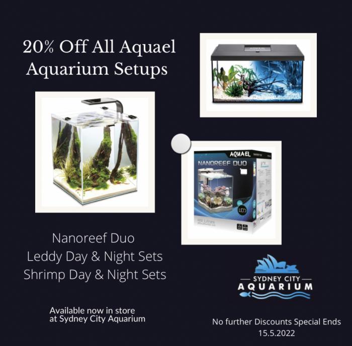 Aquael Tanks At 20% Off at WTFISH & Sydney City Aquarium!