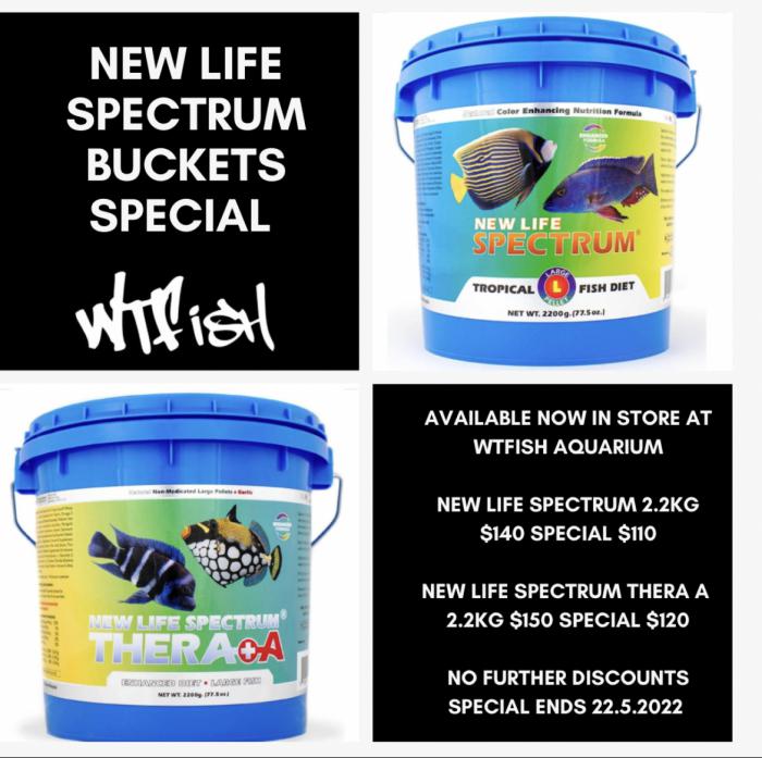 New Life Spectrum Buckets On Special At WTFISH!