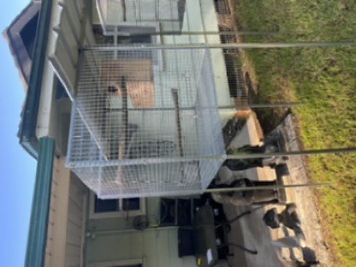 New unused suspended cage 