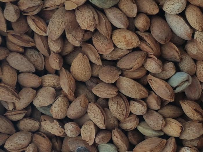 Almonds peanuts and walnuts 