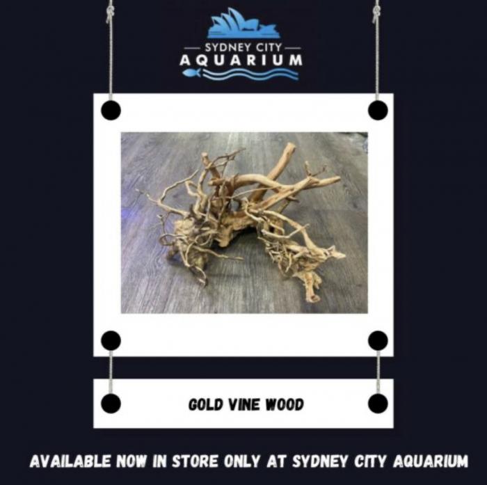 Aquarium Wood Available At Sydney City Aquarium!