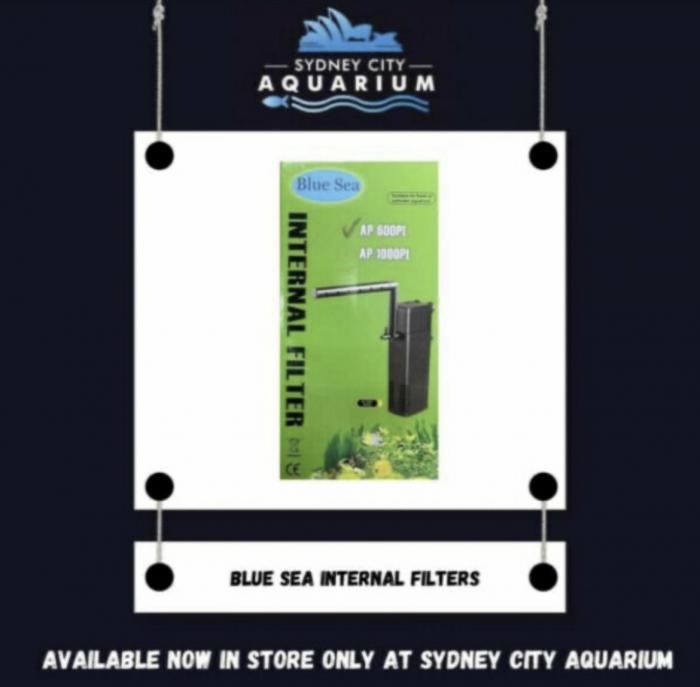 Blue Sea Internal Filters Available At Sydney City Aquarium!